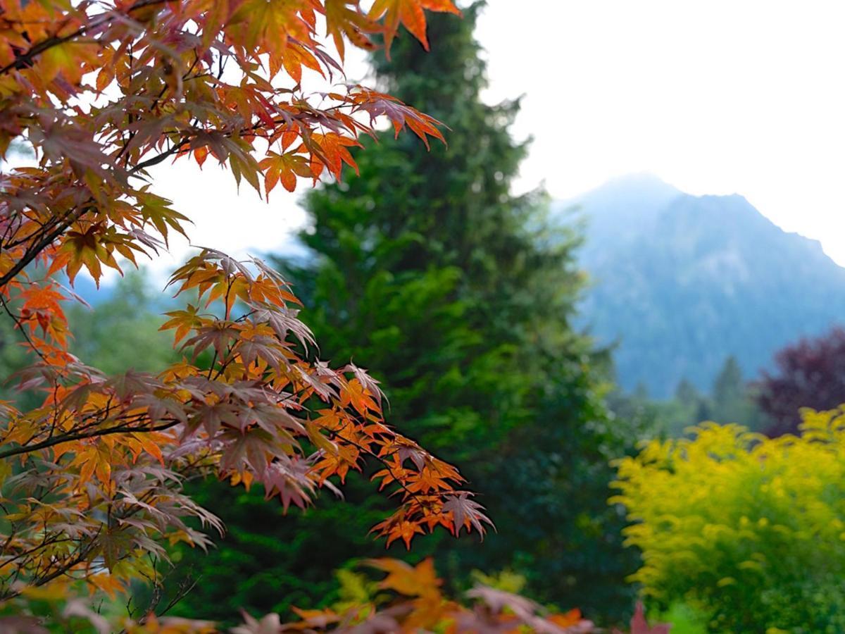 Hubertus Apartments Schliersee Eksteriør bilde